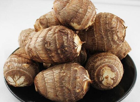 1760261750.jpg tupian_yutou1.jpg