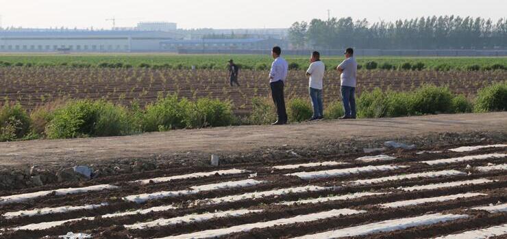 1760955787.jpg tupian_jidi14.jpg